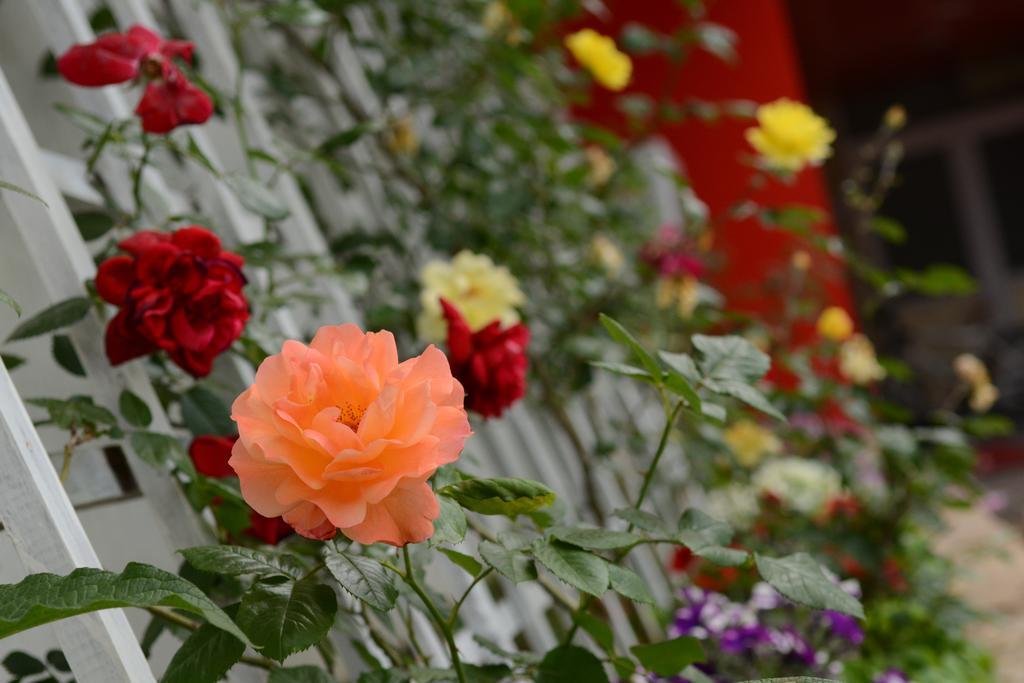 Hotel Select Tulcea Bagian luar foto