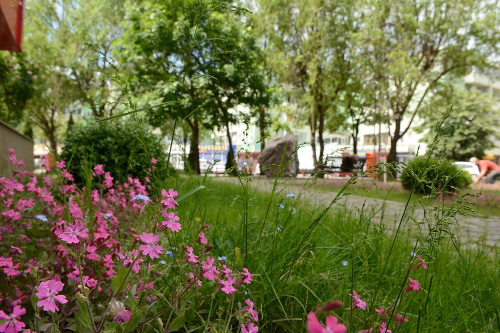 Hotel Select Tulcea Bagian luar foto